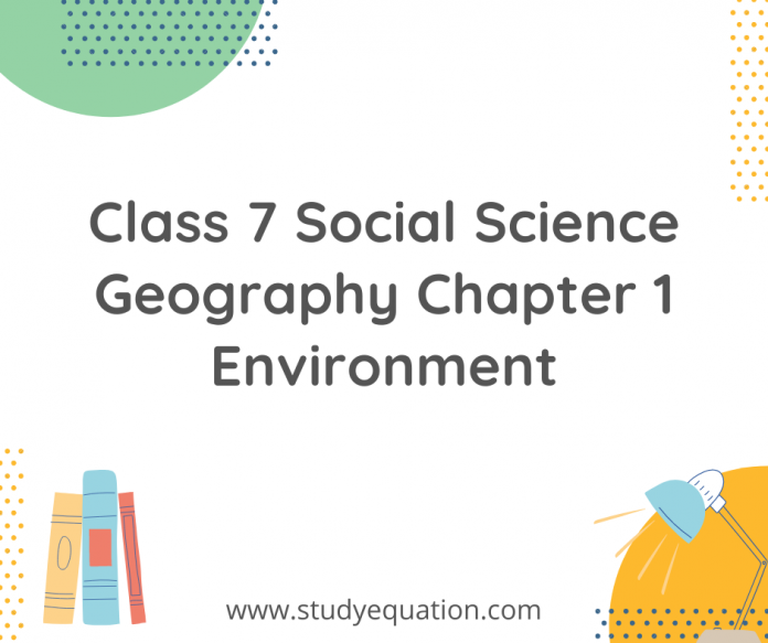 CLASS 7 social science geography chapter 1 environment