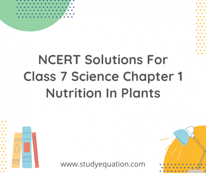 NCERT Solutions For Class 7 Science Chapter 1 Nutrition In Plants