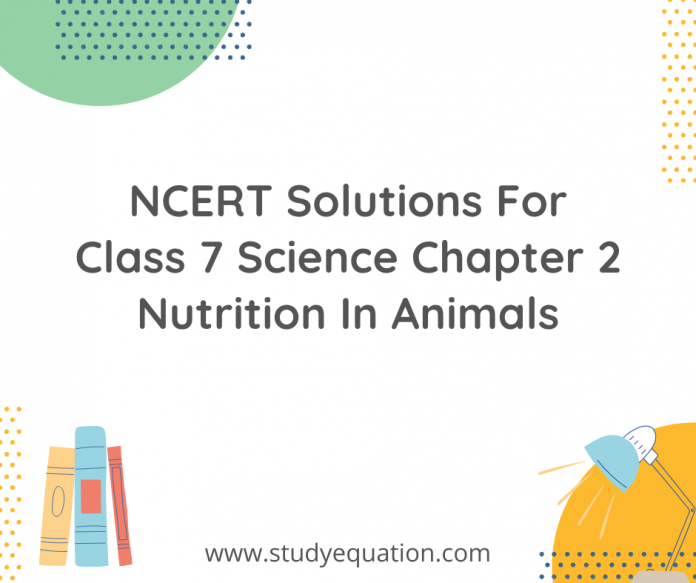NCERT Solutions For Class 7 Science Chapter 2 Nutrition In Animals