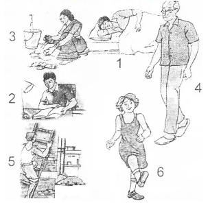 NCERT Solutions For Class 7 Science Chapter 10 Respiration in Organisms : assign numbers to the pictures