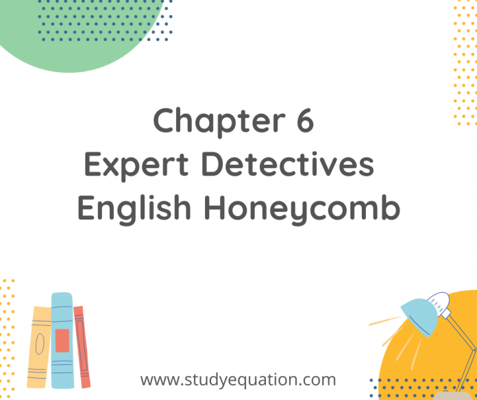 chapter 6 expert detective english honeycomb