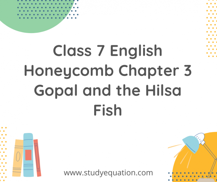 class 7 english honeycomb chapter 3 gopal and the hilsa fish