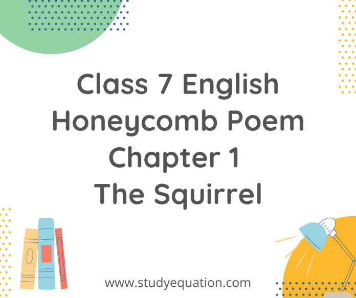 class 7 english honeycomb poem chapter 1 the squirrel
