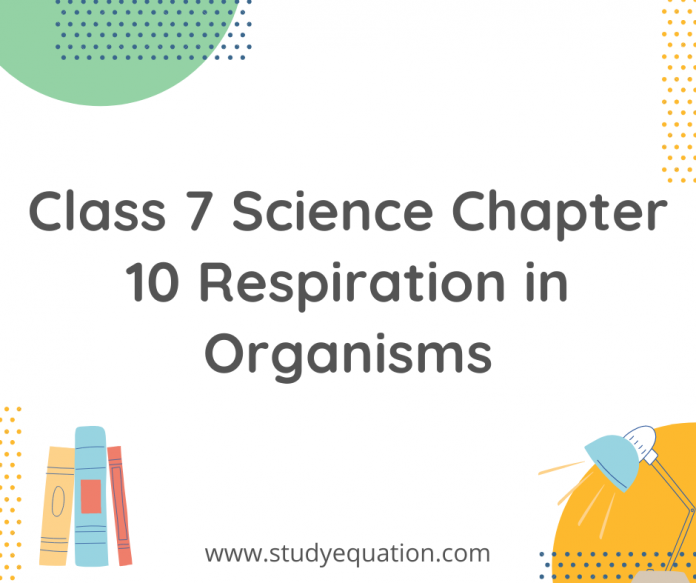 class 7 science chapter 10 respiration in organisms