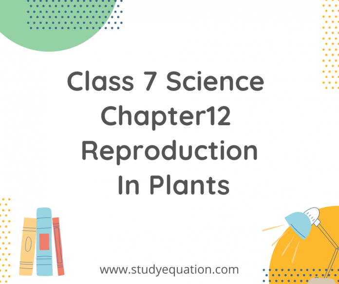 class 7 science chapter 12 reproduction in plants