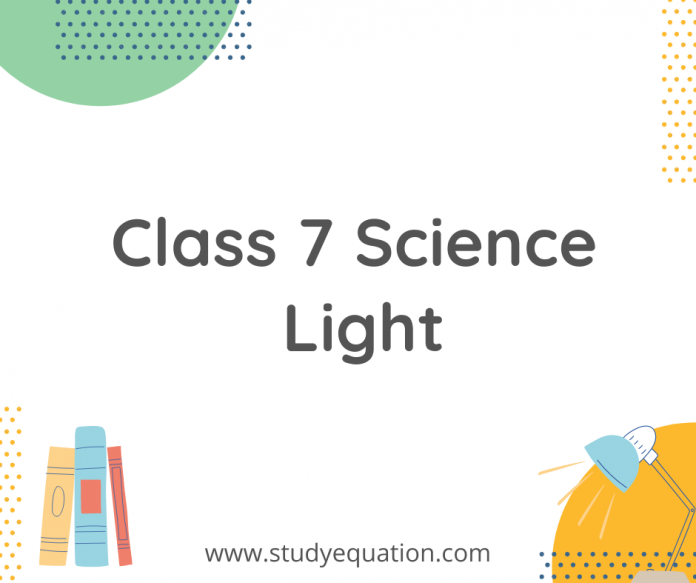 class 7 science light
