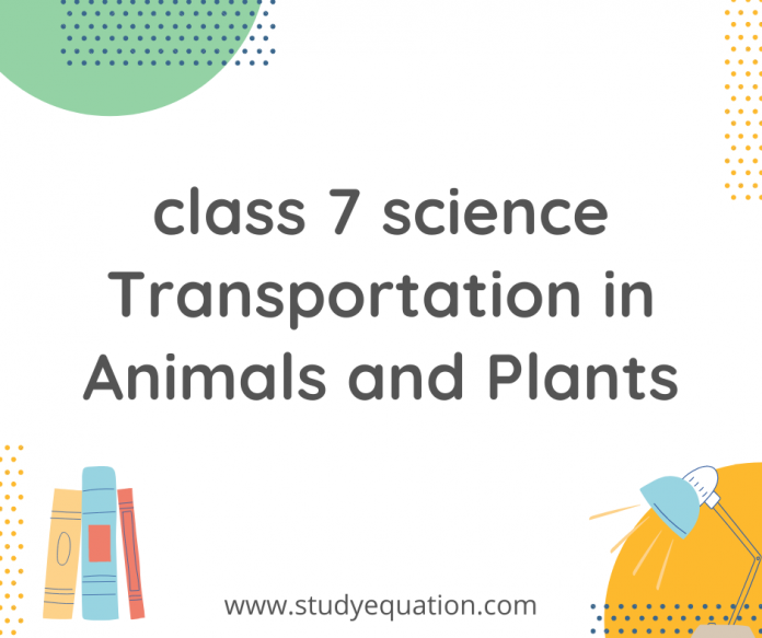 class 7 science transportation in animals and plants