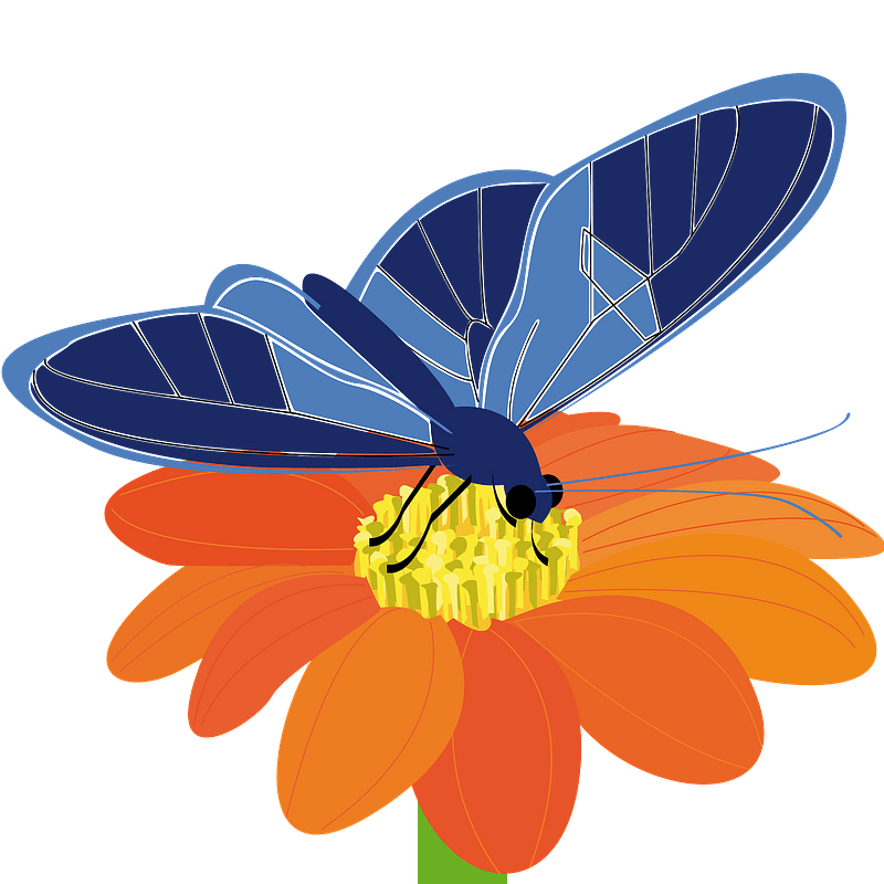 Class 7 English Honeycomb Poem 8 Meadow Surprises