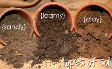 Types of soil- NCERT Solutions For Class 7 Science Chapter 9 Soil