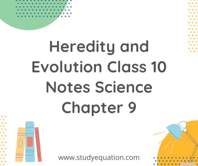 heredity and evolution class 10 notes science chapter 9