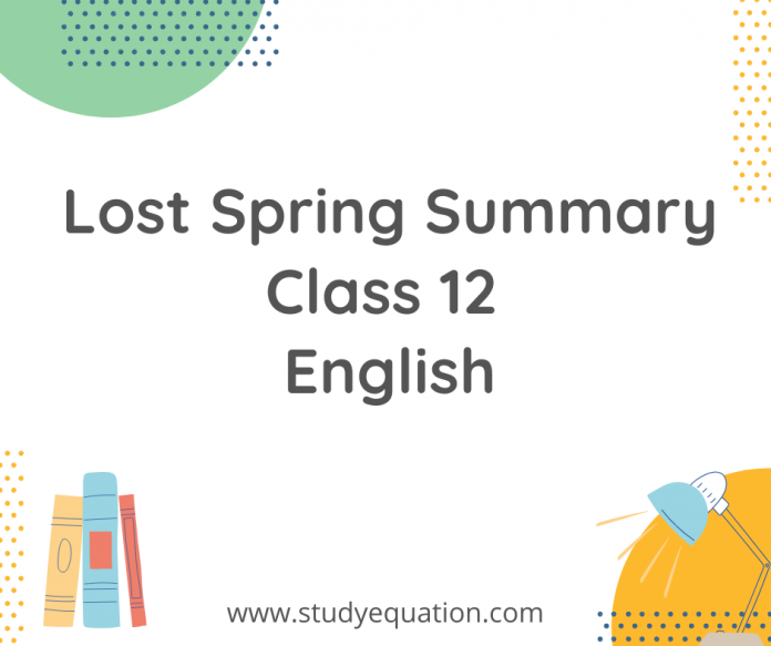 lost spring summary class 12 english