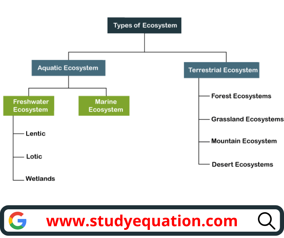 All Type of Ecosystem Graph