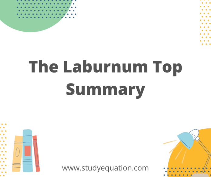 The Laburnum Top Summary
