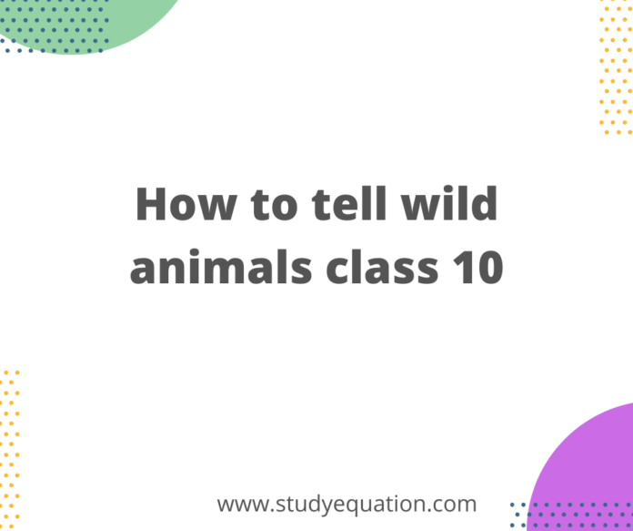How to Tell Wild Animals