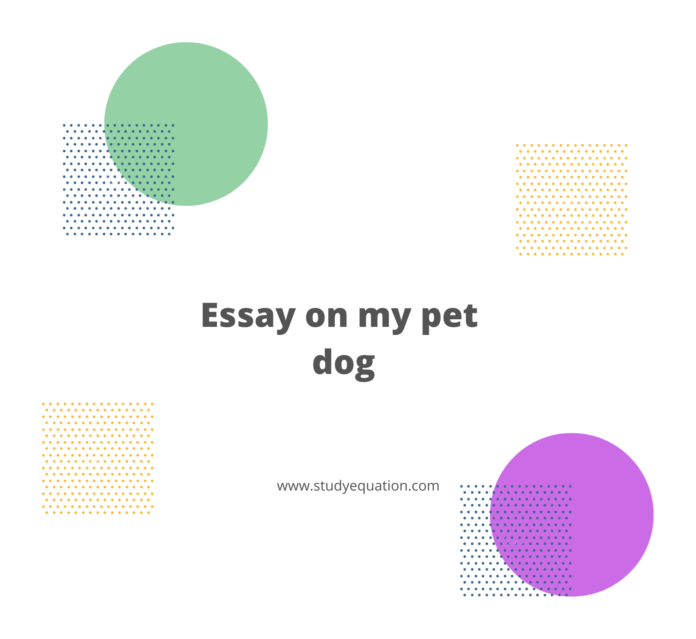 essay my pet for class 3