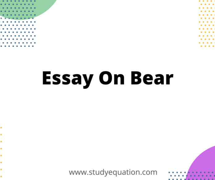 essay on bear