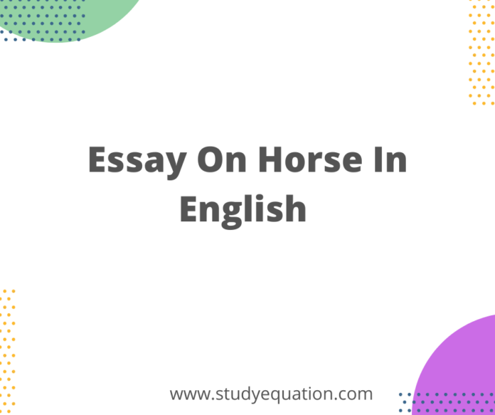 Essay on Horse