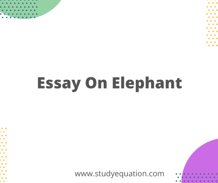 Essay On Elephant
