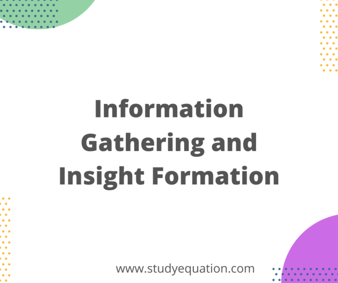 Information Gathering and Insight Formation