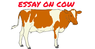  Essay on Cow

 
