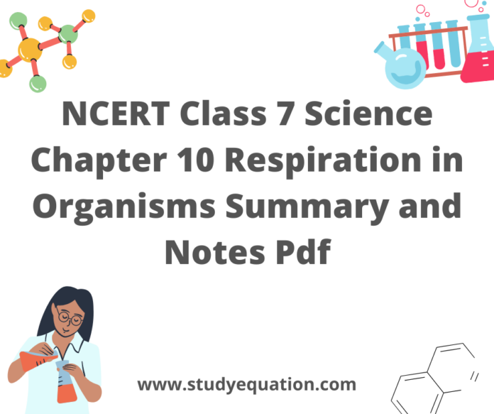 NCERT Class 7 Science Chapter 10 Respiration in Organisms Summary and Notes Pdf