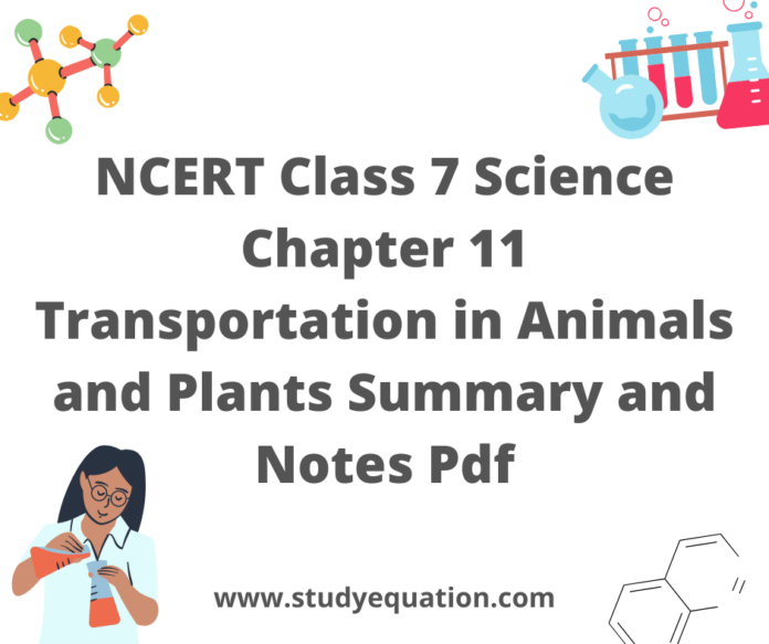 NCERT Class 7 Science Chapter 12 Reproduction in Plants Summary and Notes Pdf