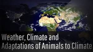  NCERT Class 7 Science Chapter 7 Weather, Climate and Adaptations of Animals to Climate