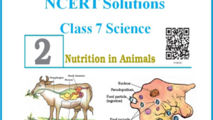 NCERT Class 7 Science Chapter 2 Nutrition in Animals